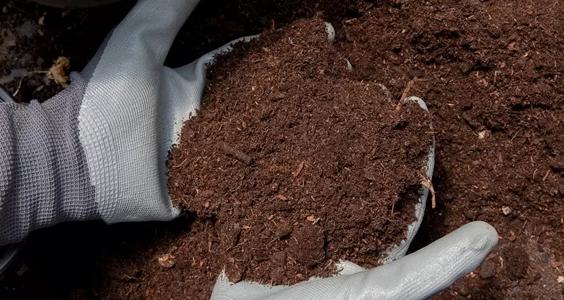 Mechanized-Composting