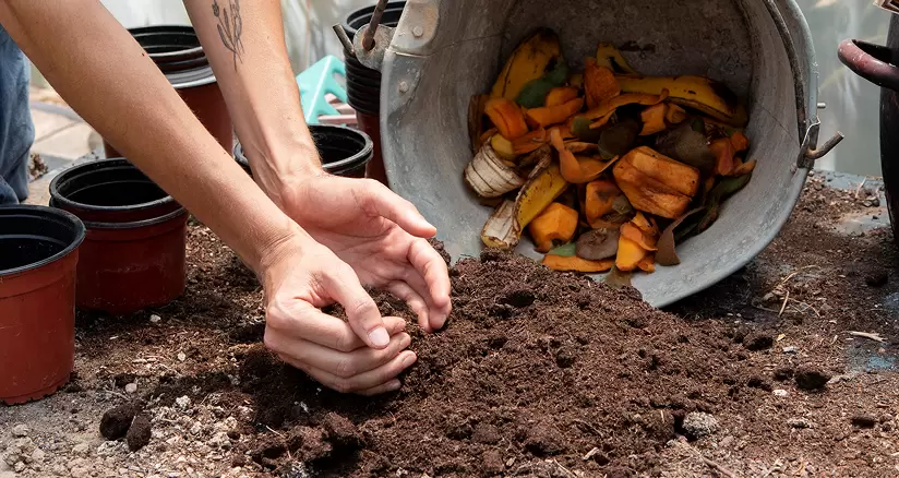 Wet-Waste-Management