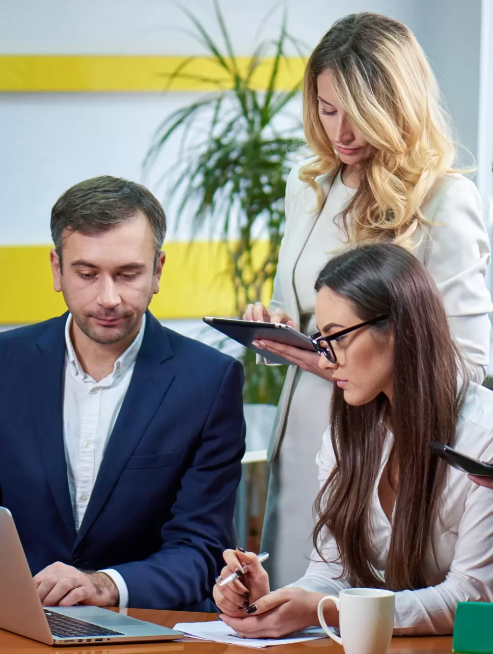 International Placement Service